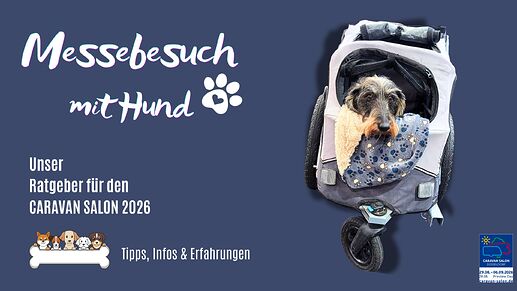 https://www.traumfaehrten.de/messebesuch-mit-hund-ratgeber-caravan-salon-2026/